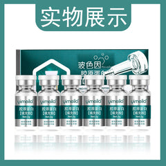 Collagen Powder for Anti-Aging and Firming Essence